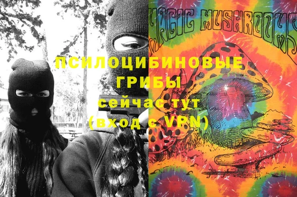 apvp Семилуки