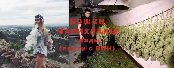 дурь Богданович