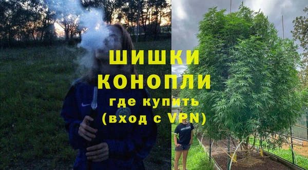 дурь Богданович