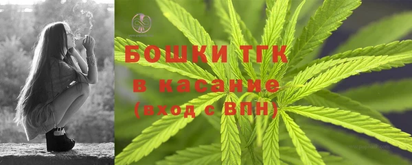 дурь Богданович