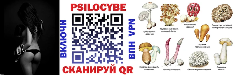Галлюциногенные грибы прущие грибы  Щучье 